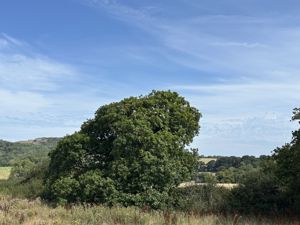 Photo 16- click for photo gallery